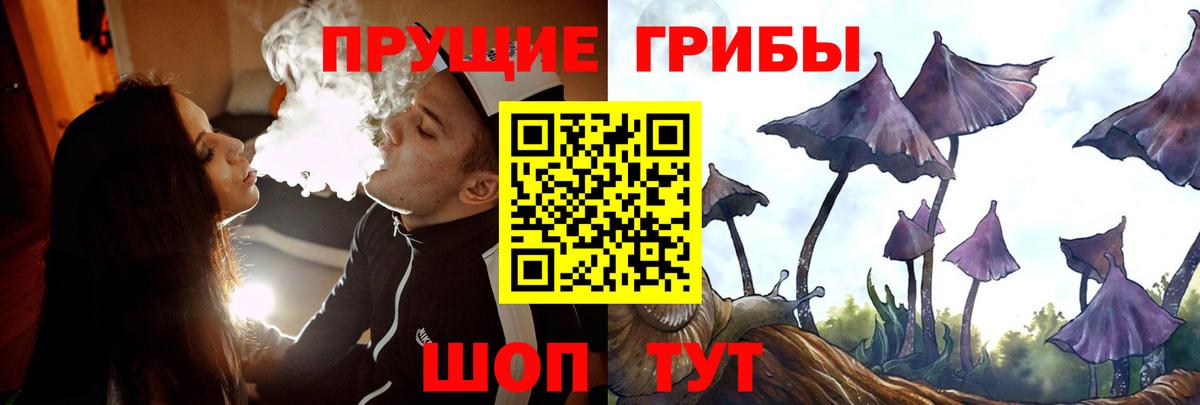 Галлюциногенные грибы Magic Shrooms Североуральск